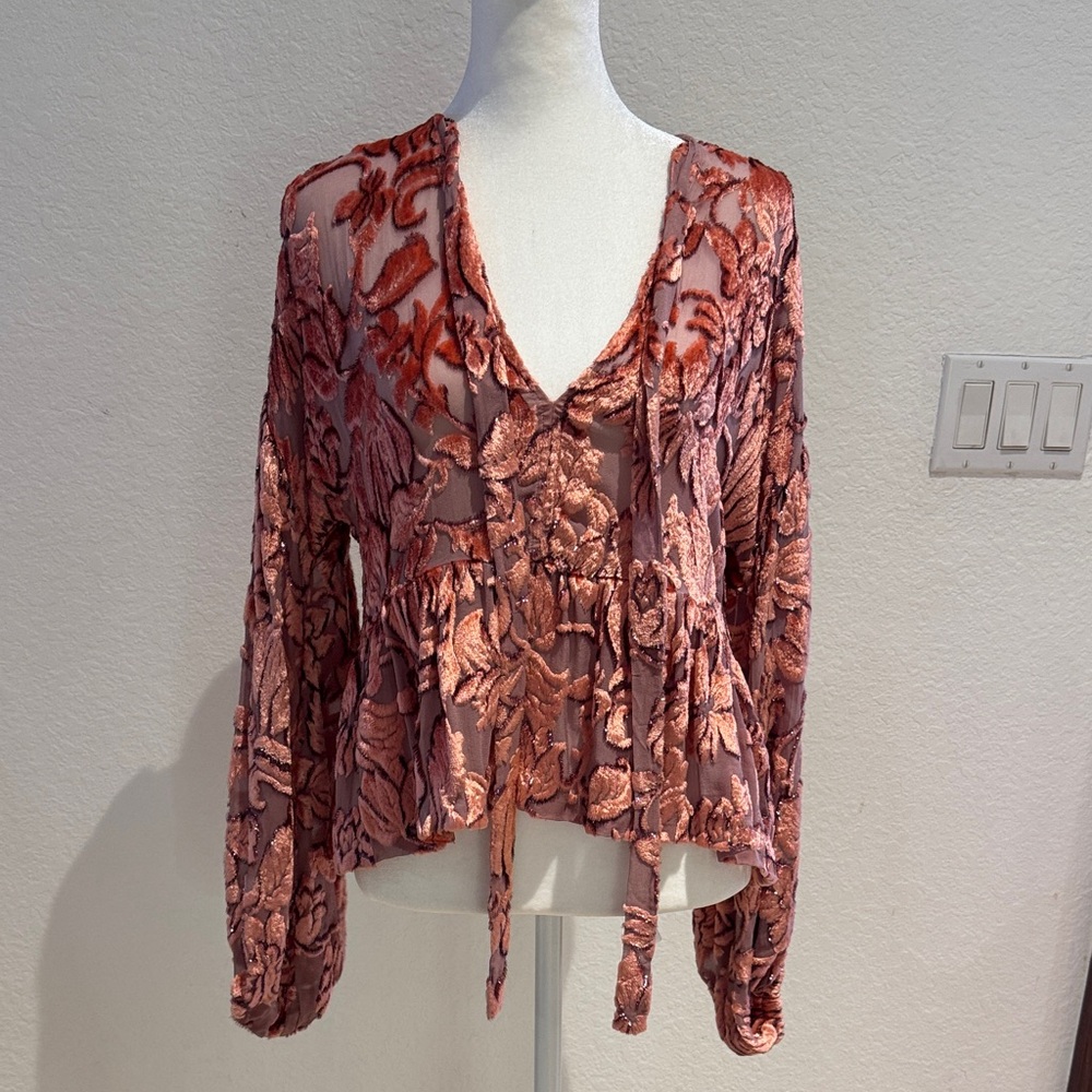 Alexis Blush Velvet Floral Blouse